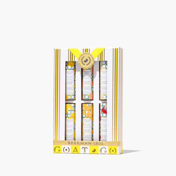 6-Piece Lip Balm Gift Set The Perfect Pucker