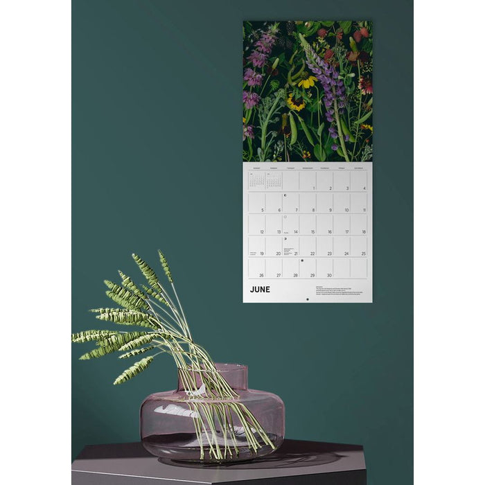 Deb Stoner: Flora 2022 Wall Calendar