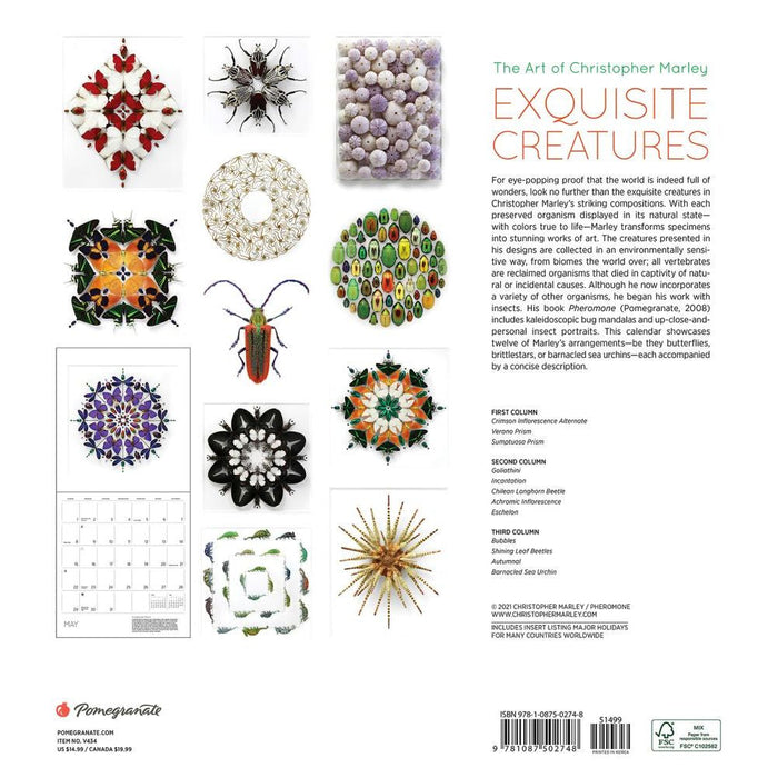 Christopher Marley: Esquisite Creatures 2022 Wall Calendar