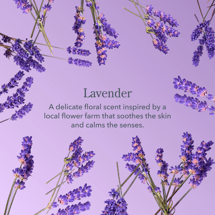 Lavender 3-Piece Bodycare Gift Set