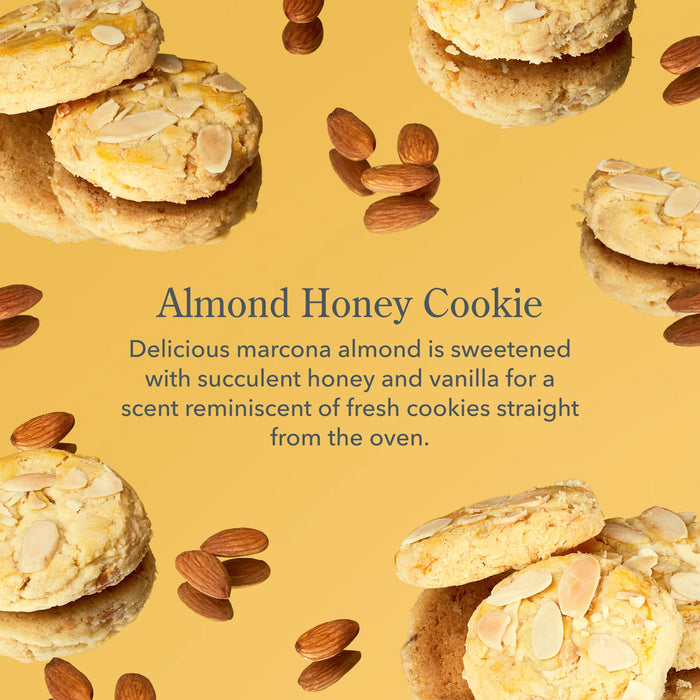 Almond Honey Cookie 3-Piece Bodycare Discovery Gift Set