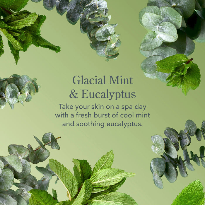 Glacial Mint & Eucalyptus 3-Piece Bodycare Discovery Gift Set