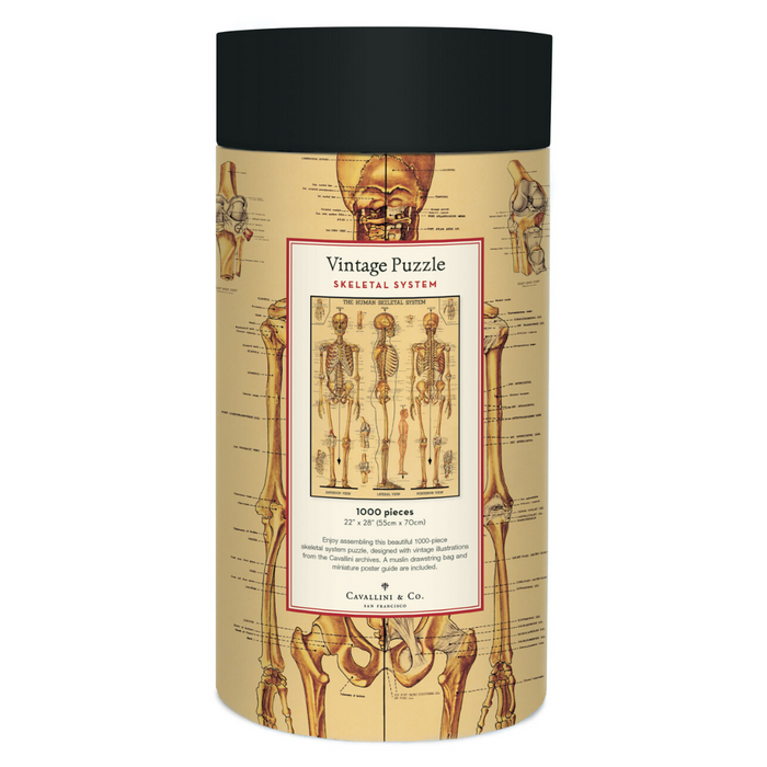 Skeletal System 1000 Piece Jigsaw Puzzle