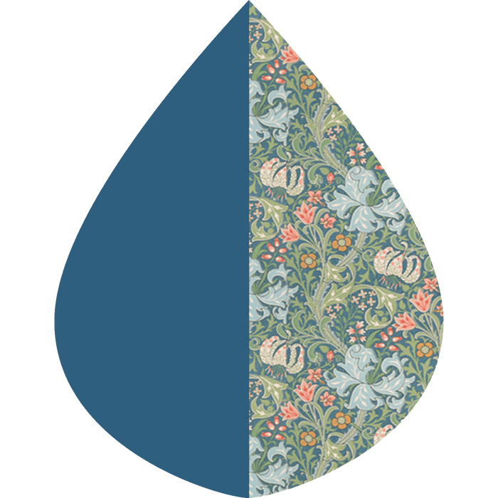 RAINCAPER BLUEBELL & WILLIAM MORRIS "LILY" TRAVEL CAPE