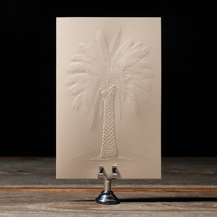 Beige card with embossed palm tree design on a dark background