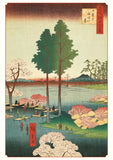 Hiroshige: Cherry Blossoms Boxed Notecards