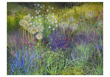 Rosalind Wise: Garden Borders Boxed Notecards