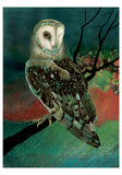 Barn Owls Boxed Notecards