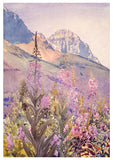 Walter J. Phillips: Watercolors Boxed Notecards