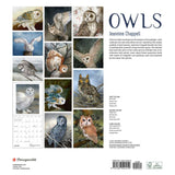 Jeannine Chappell: Owls 2022 Wall Calendar
