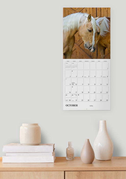 Equus: Photographs by Susan Friedman 2022 Wall Calendar