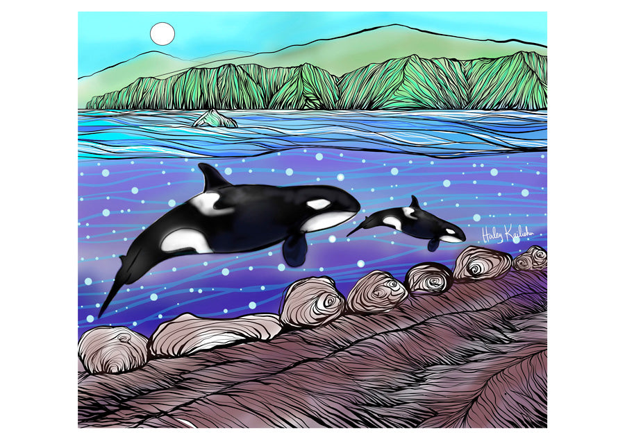 Orcas: Spirits of the Coast Boxed Notecards