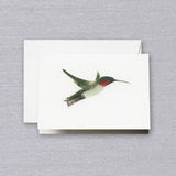 Crane Paper Brushstroke Hummingbird Pearl White Boxed Notes