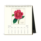 Cavallini 2022 Easel Calendar: Botanica