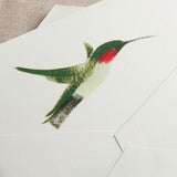 Crane Paper Brushstroke Hummingbird Pearl White Boxed Notes