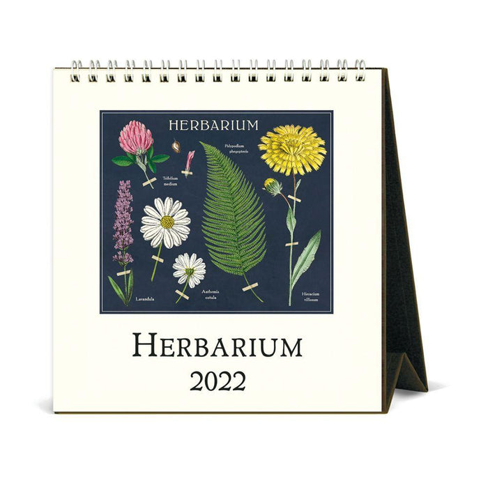 Cavallini 2022 Easel Calendar: Herbarium