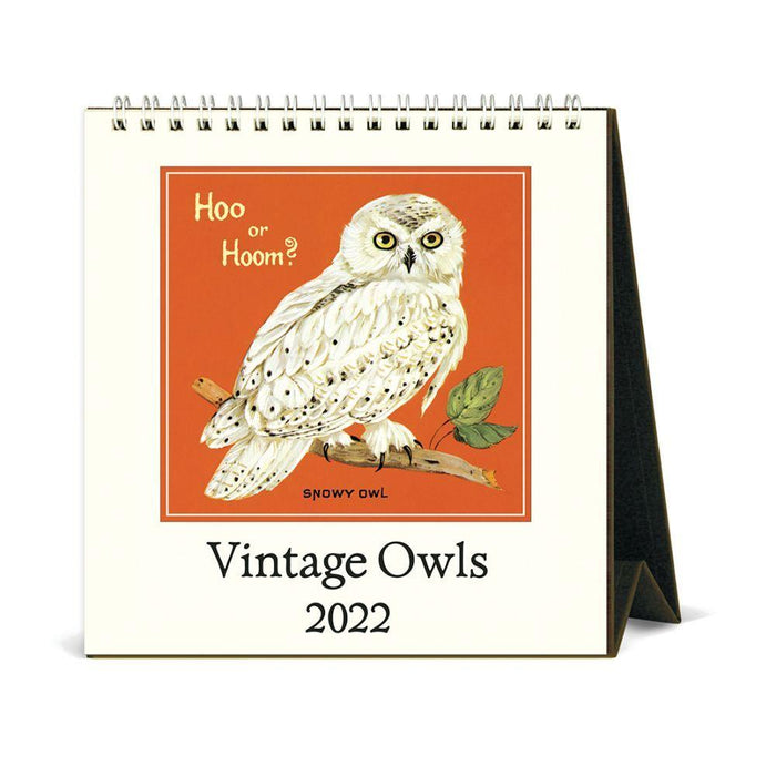 Cavallini 2022 Easel Calendar: Owls