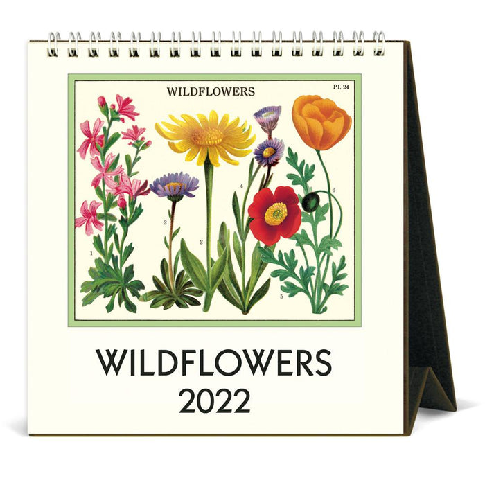 Cavallini 2022 Easel Calendar: Wildflowers