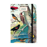Cavallini 2022 Weekly Planner: Audubon Birds