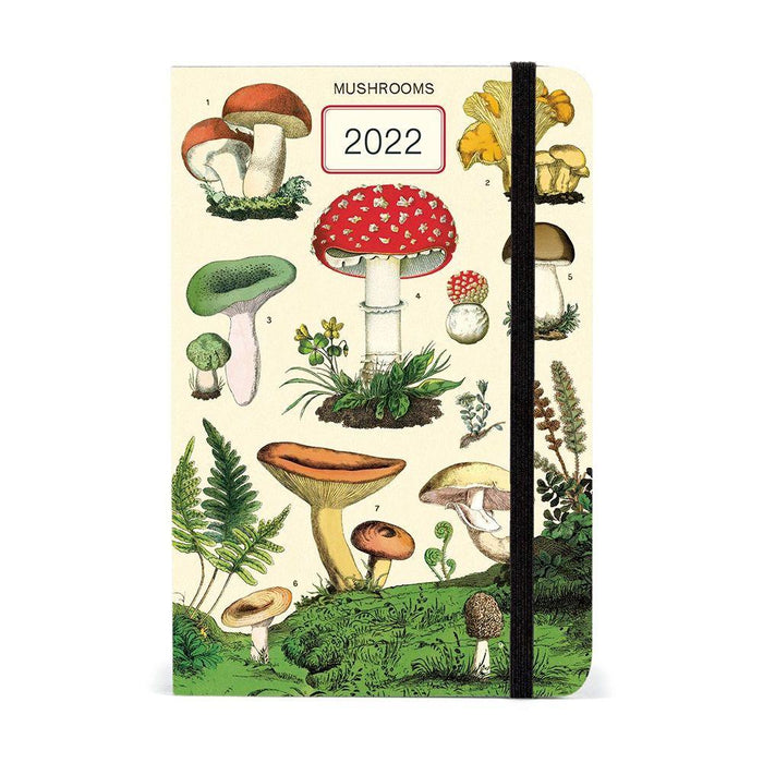 Cavallini 2022 Weekly Planner: Mushrooms