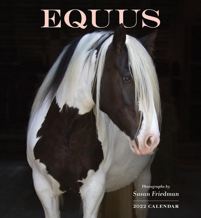 Equus: Photographs by Susan Friedman 2022 Wall Calendar