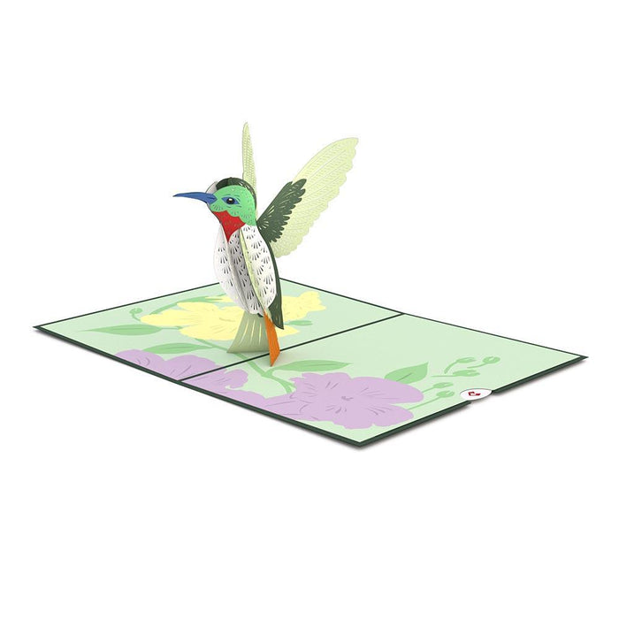 Hummingbird 3D Pop Up card