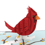 Cardinal 3D Pop Up card