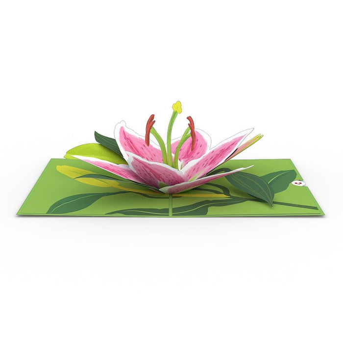 Lily Bloom 3D Pop Up card