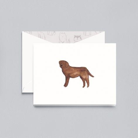 Crane Paper Lithographed Labrador Retriever Pearl White Boxed Notes