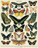 Butterflies 1000 Piece Jigsaw Puzzle