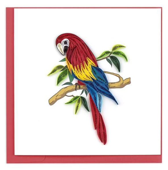 Quilled Parrot Greeting Card