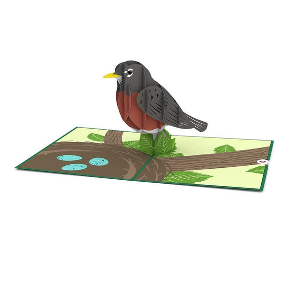 Robin 3D Pop Up card