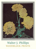 Walter J. Phillips Woodblock Prints Boxed Notecards